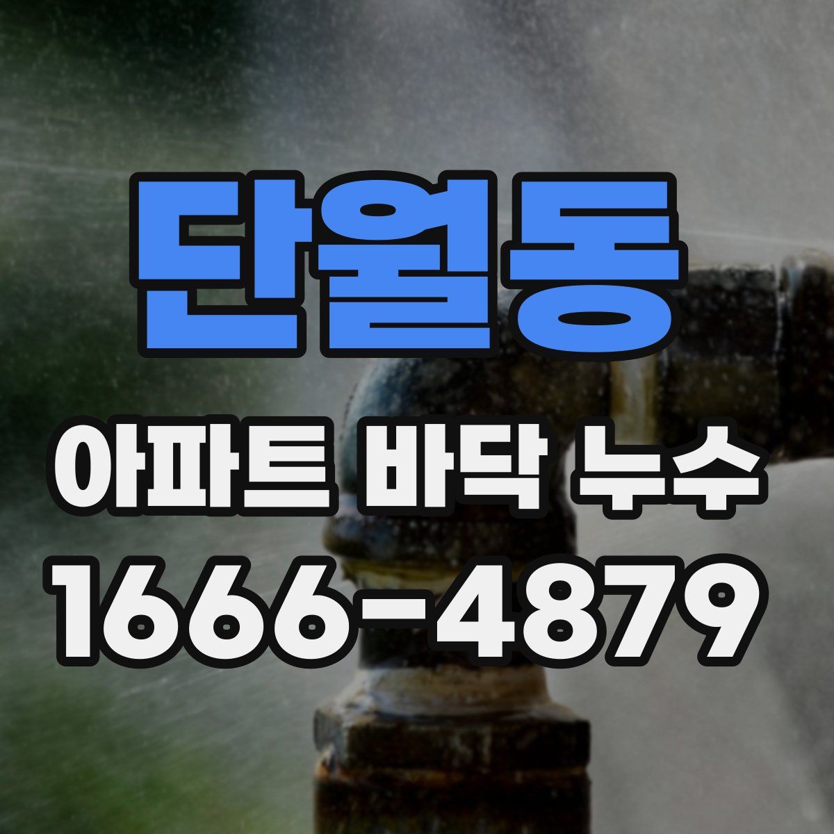 단월동 아파트 바닥 누수