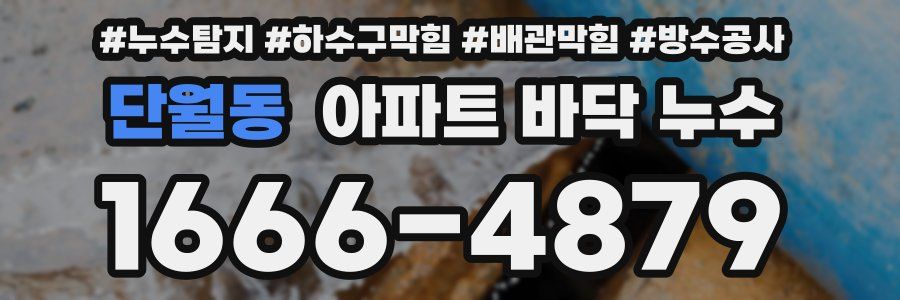 단월동 아파트 바닥 누수