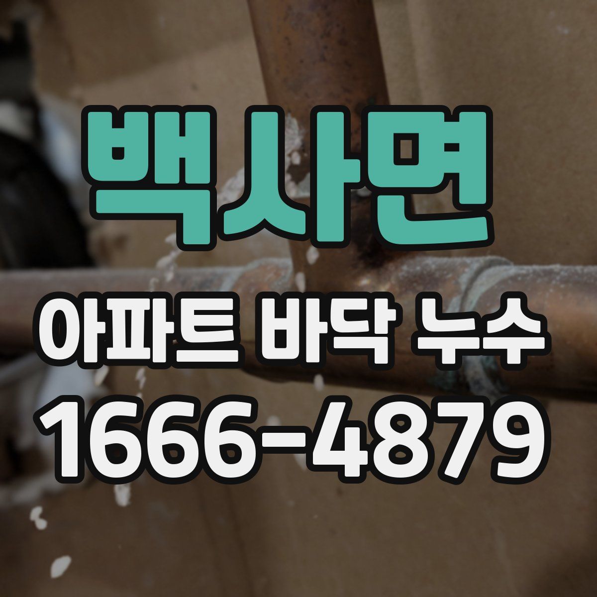 백사면 아파트 바닥 누수