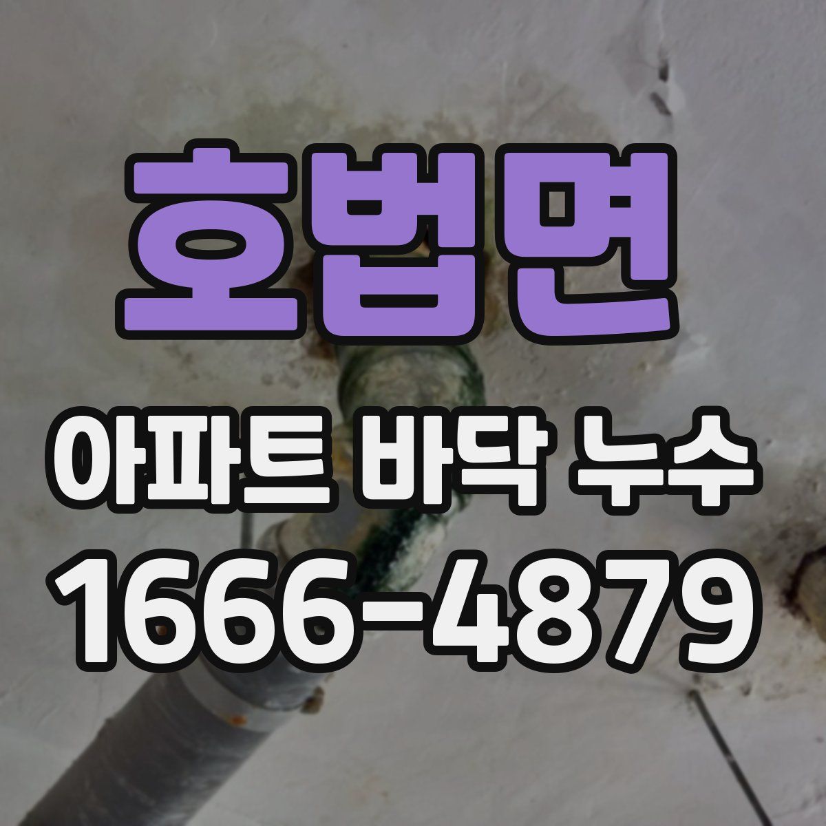 호법면 아파트 바닥 누수