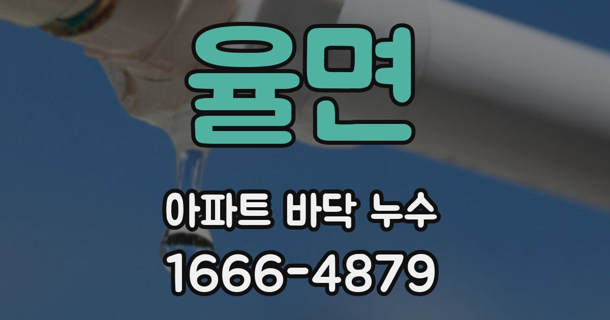 율면 아파트 바닥 누수