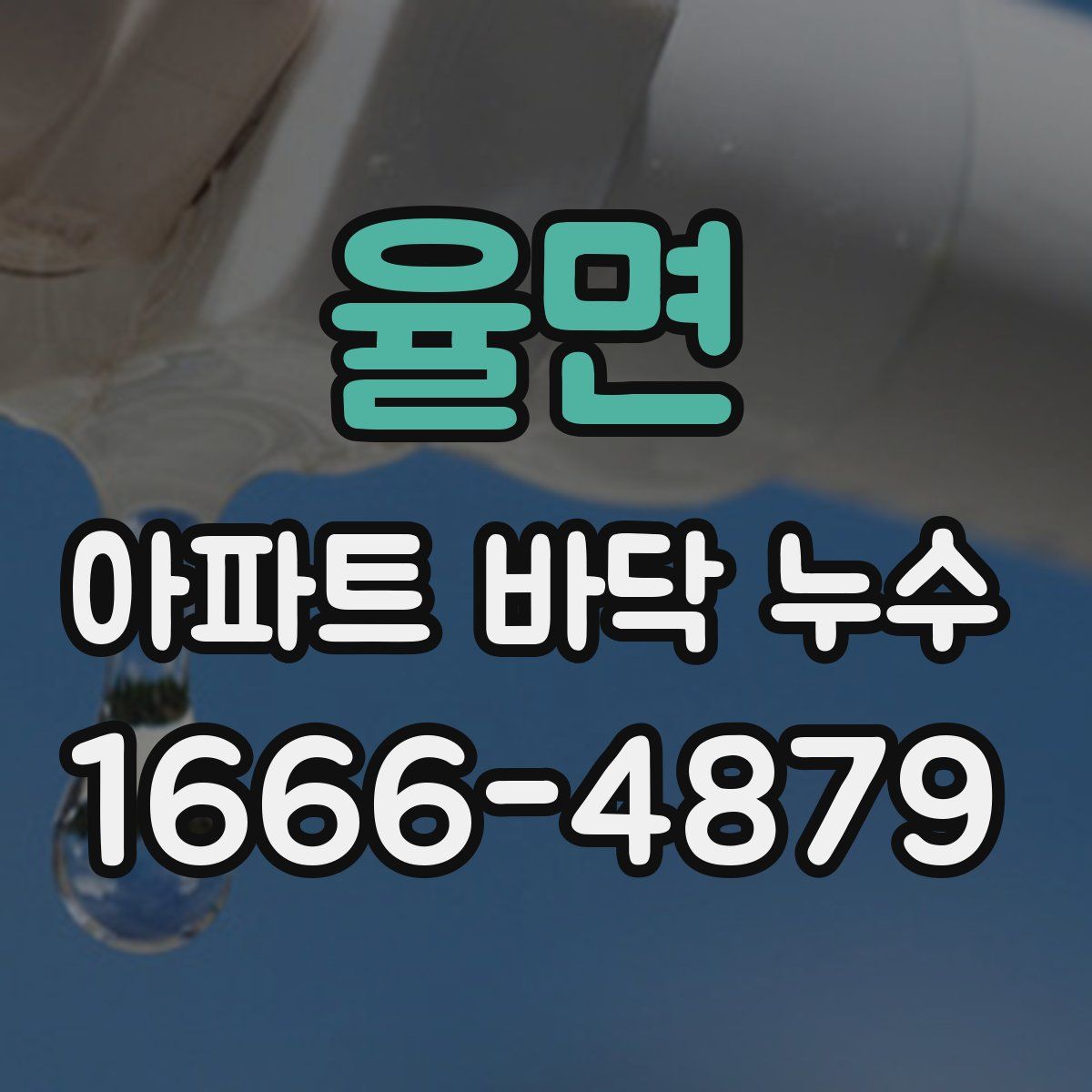 율면 아파트 바닥 누수