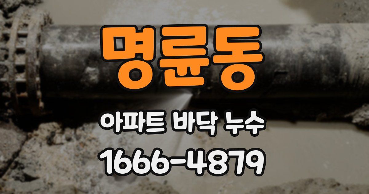 명륜동 아파트 바닥 누수
