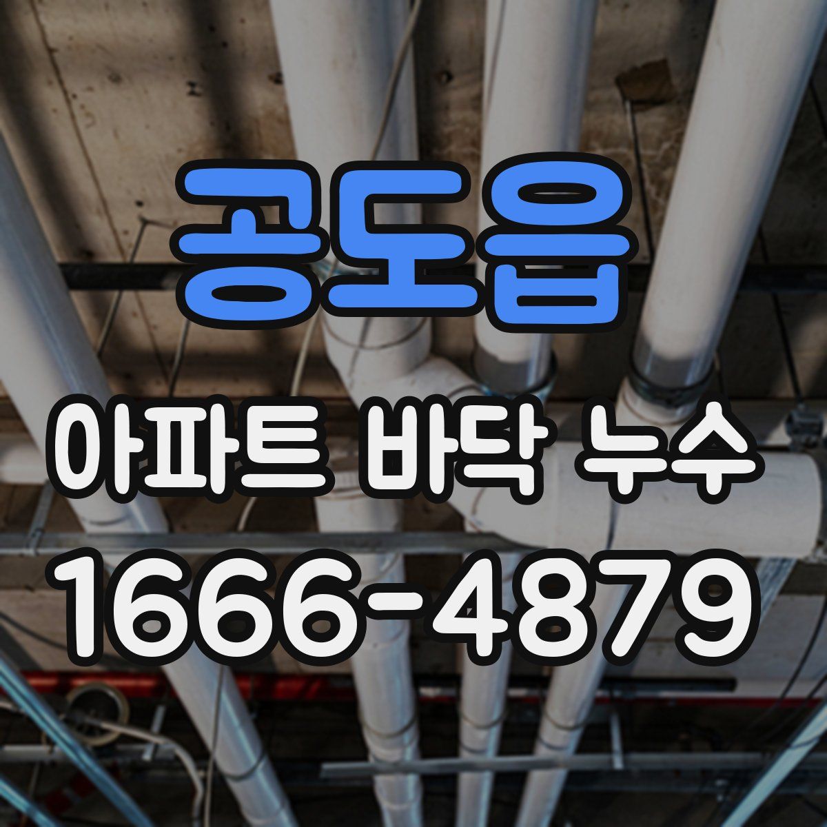 공도읍 아파트 바닥 누수