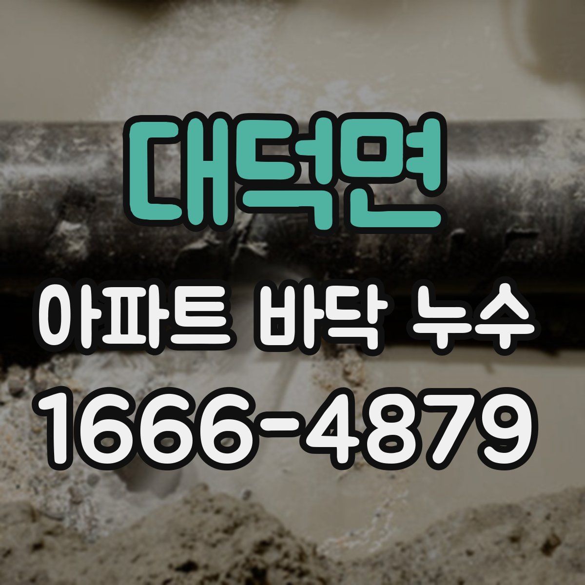 대덕면 아파트 바닥 누수