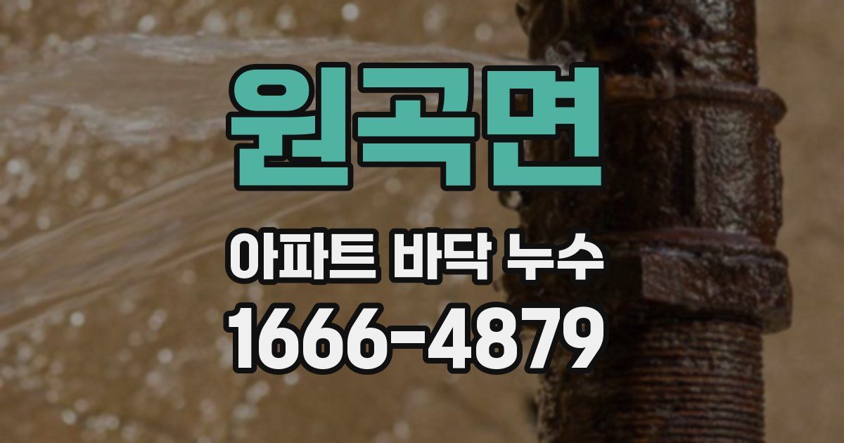 원곡면 아파트 바닥 누수