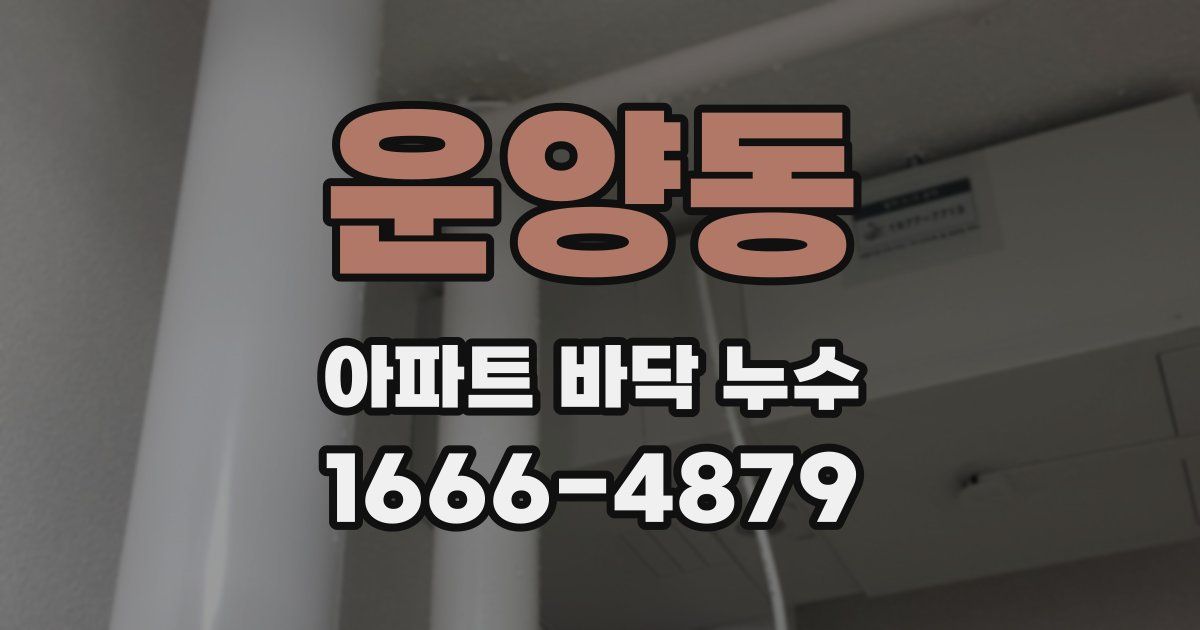 운양동 아파트 바닥 누수