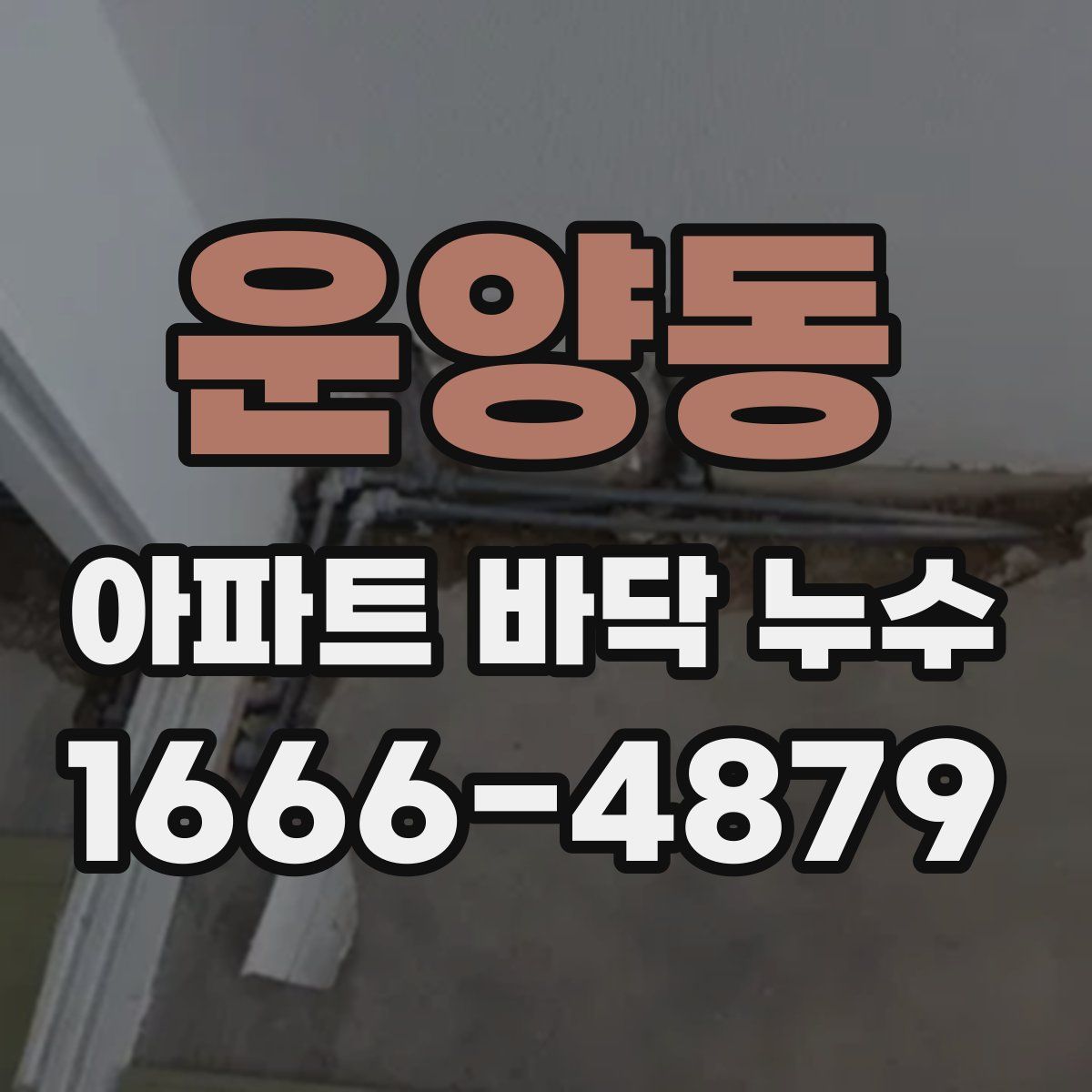 운양동 아파트 바닥 누수