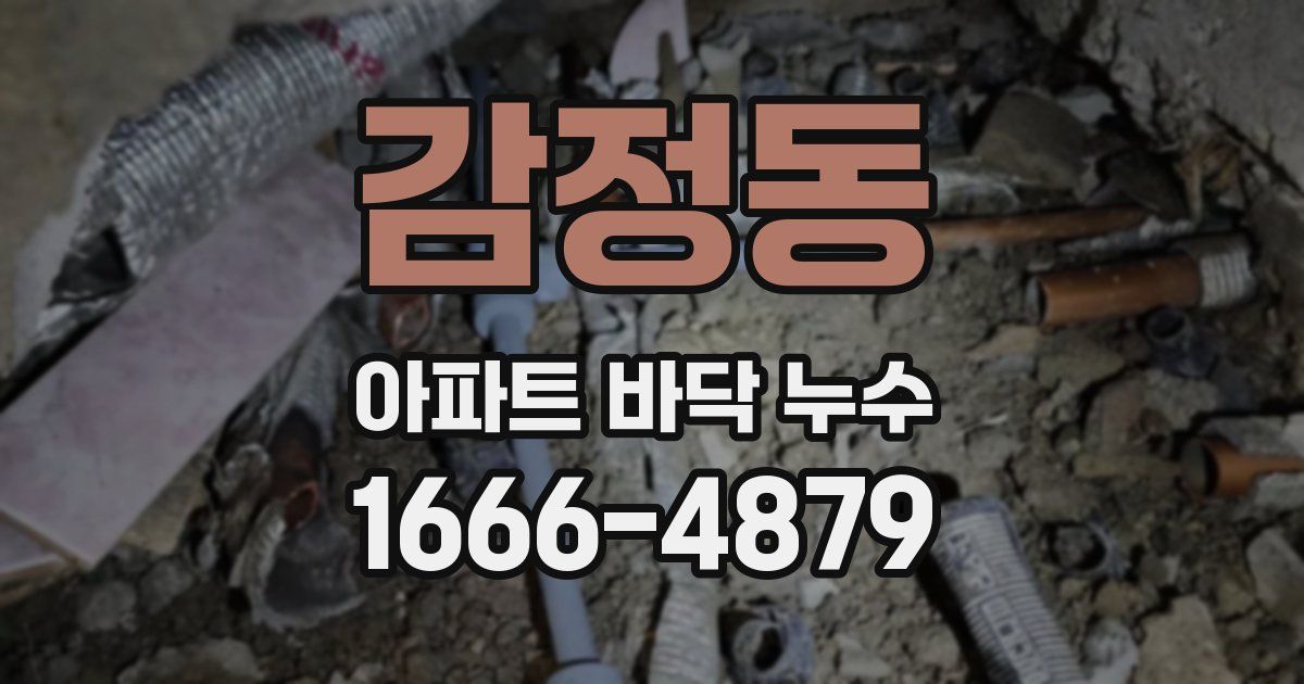 감정동 아파트 바닥 누수