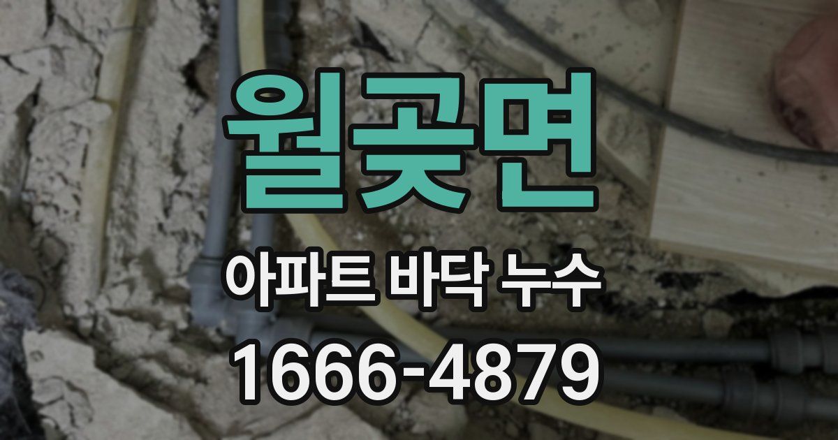 월곶면 아파트 바닥 누수