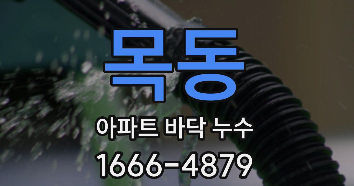 목동 아파트 바닥 누수