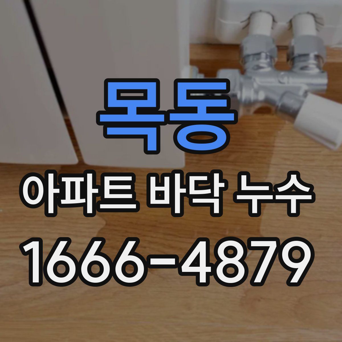 목동 아파트 바닥 누수