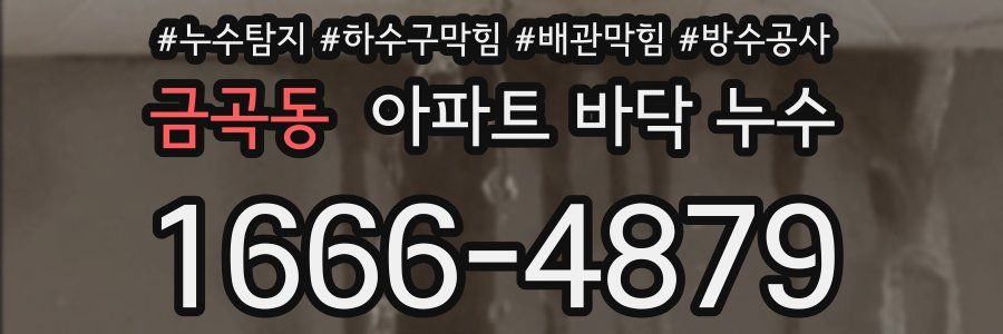 금곡동 아파트 바닥 누수