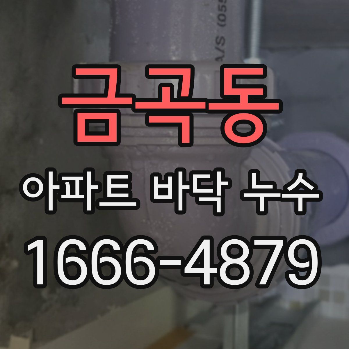 금곡동 아파트 바닥 누수