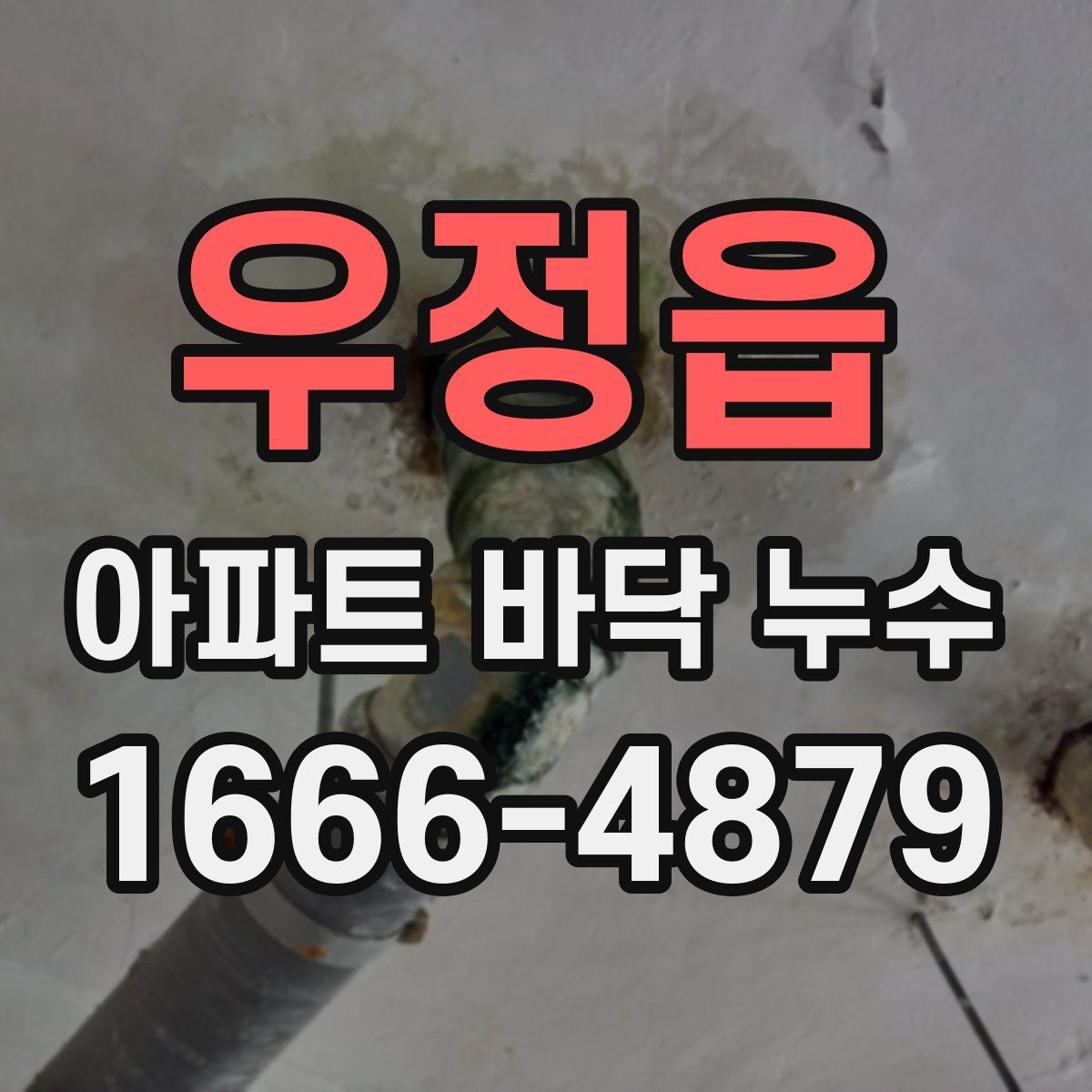 우정읍 아파트 바닥 누수