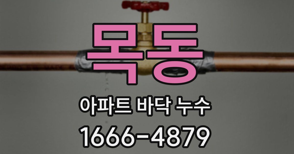 목동 아파트 바닥 누수