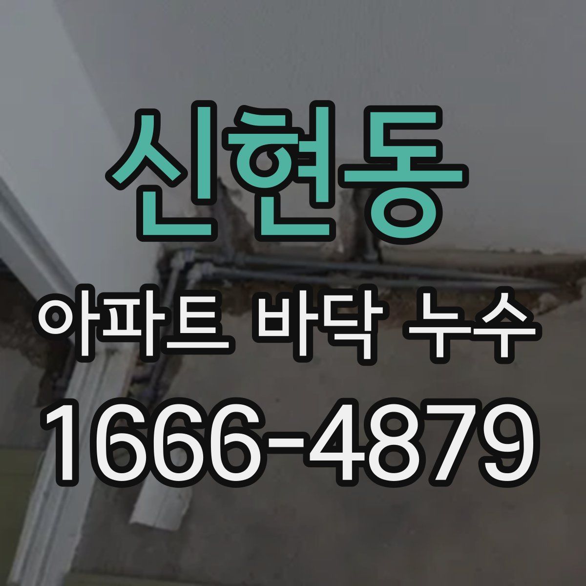 신현동 아파트 바닥 누수