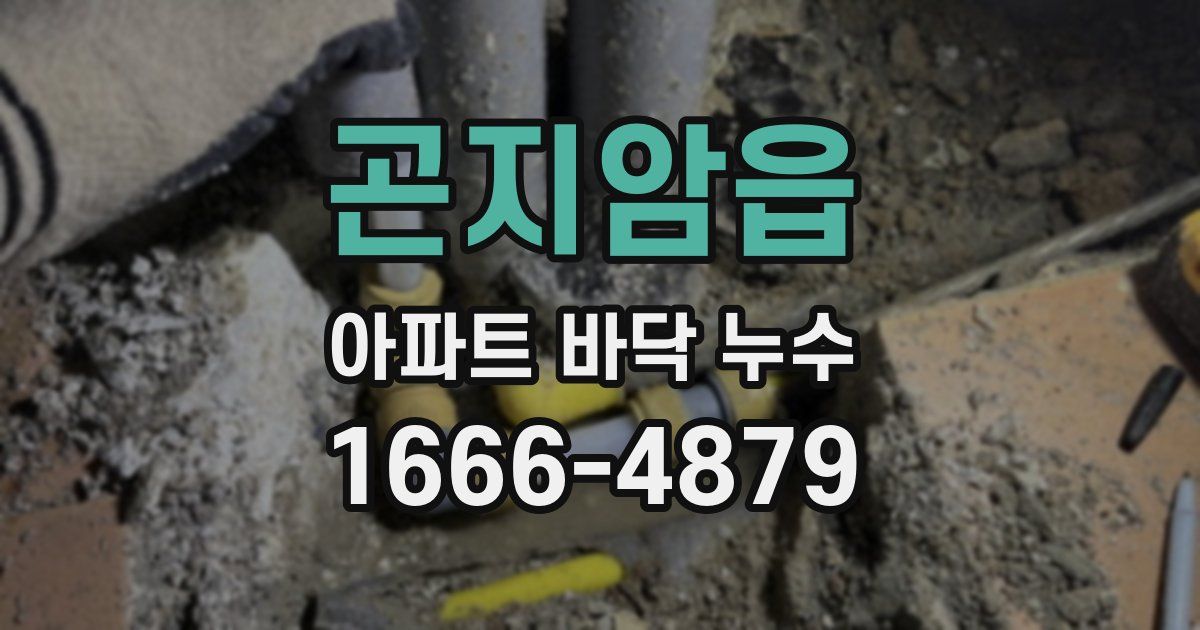 곤지암읍 아파트 바닥 누수