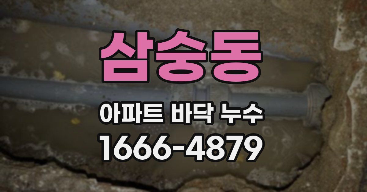 삼숭동 아파트 바닥 누수