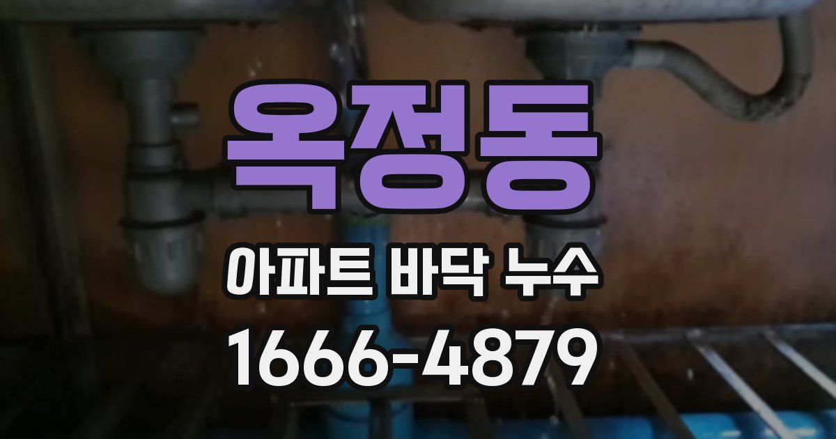 옥정동 아파트 바닥 누수