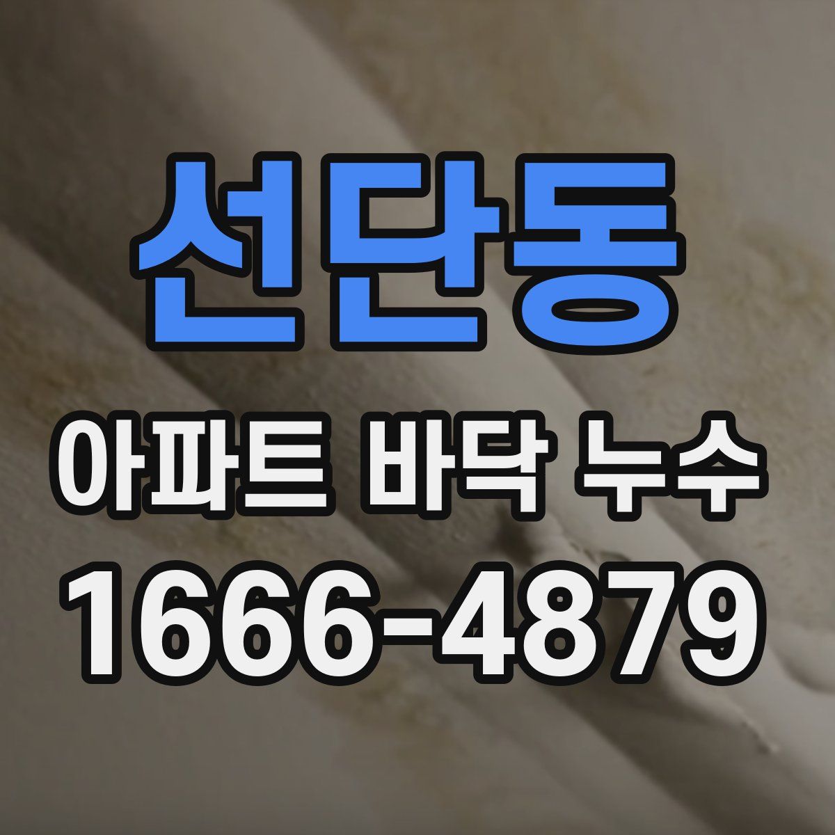선단동 아파트 바닥 누수
