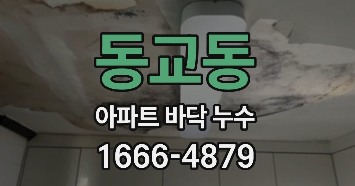 동교동 아파트 바닥 누수