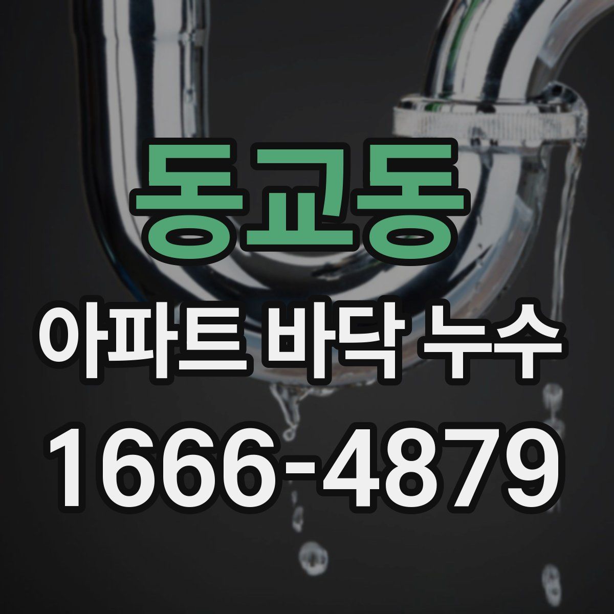 동교동 아파트 바닥 누수