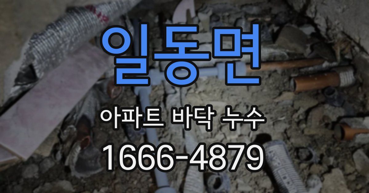 일동면 아파트 바닥 누수