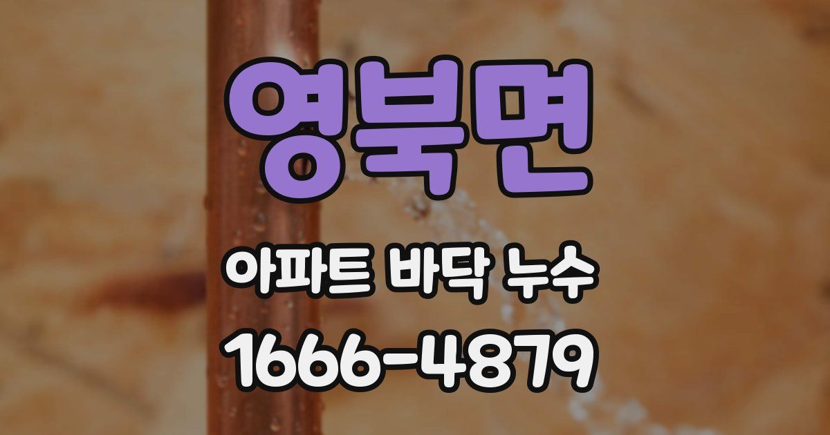영북면 아파트 바닥 누수