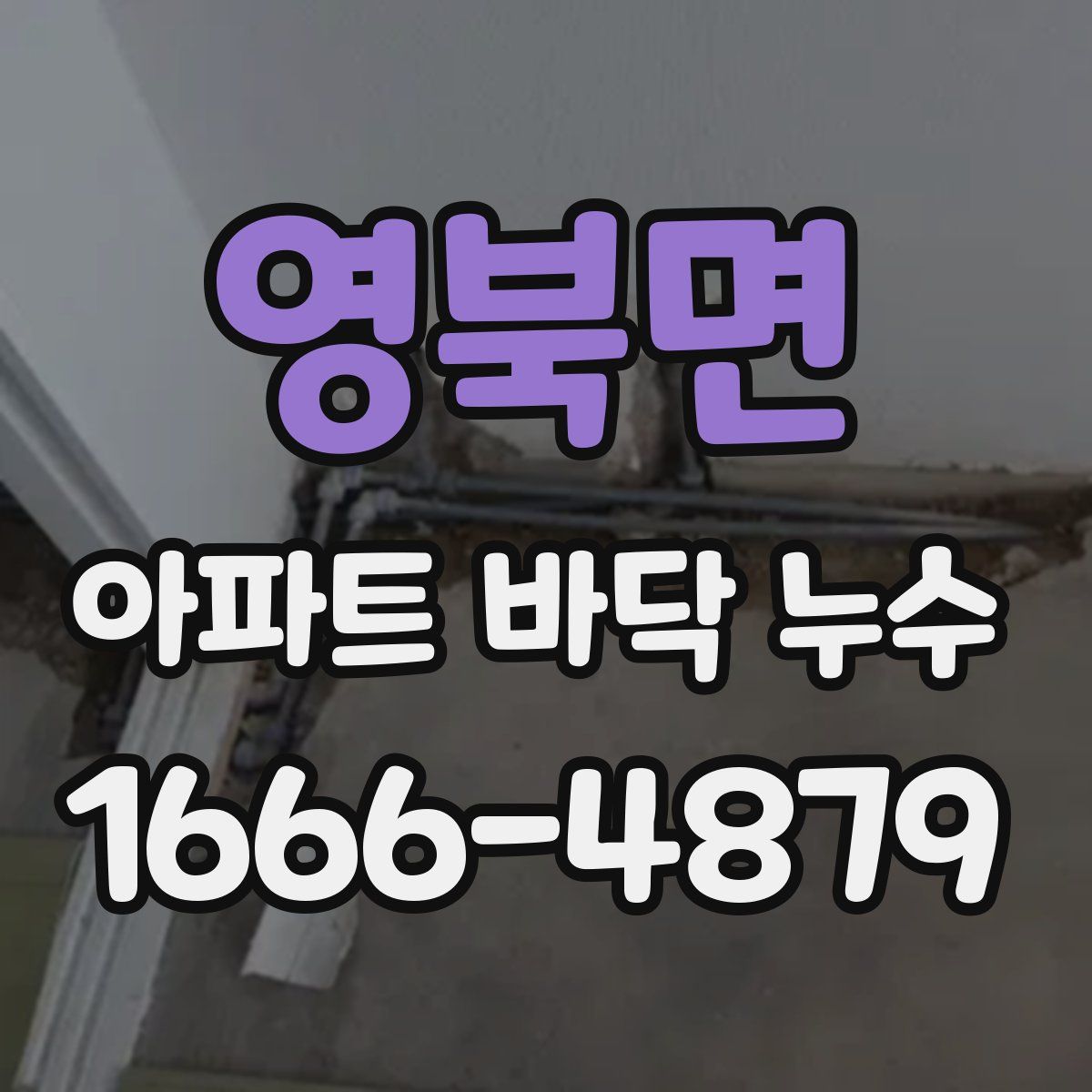 영북면 아파트 바닥 누수