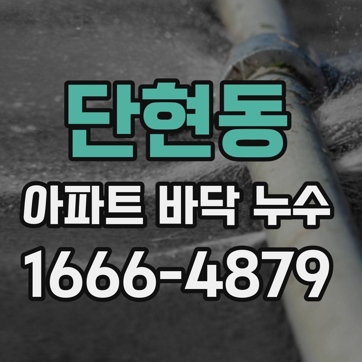 단현동 아파트 바닥 누수