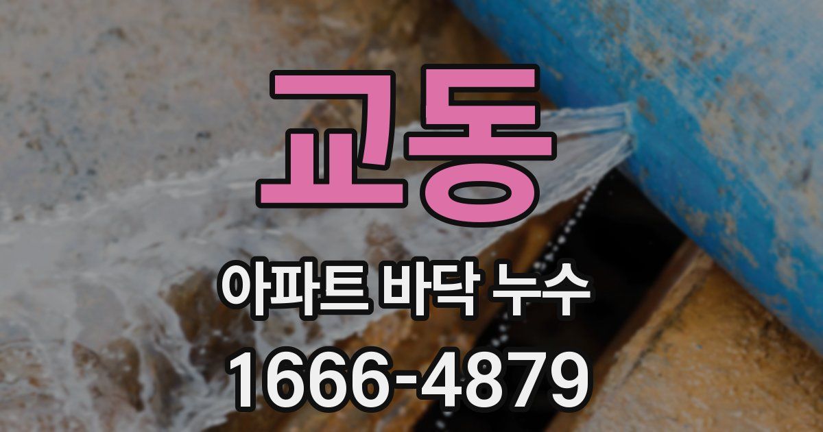교동 아파트 바닥 누수