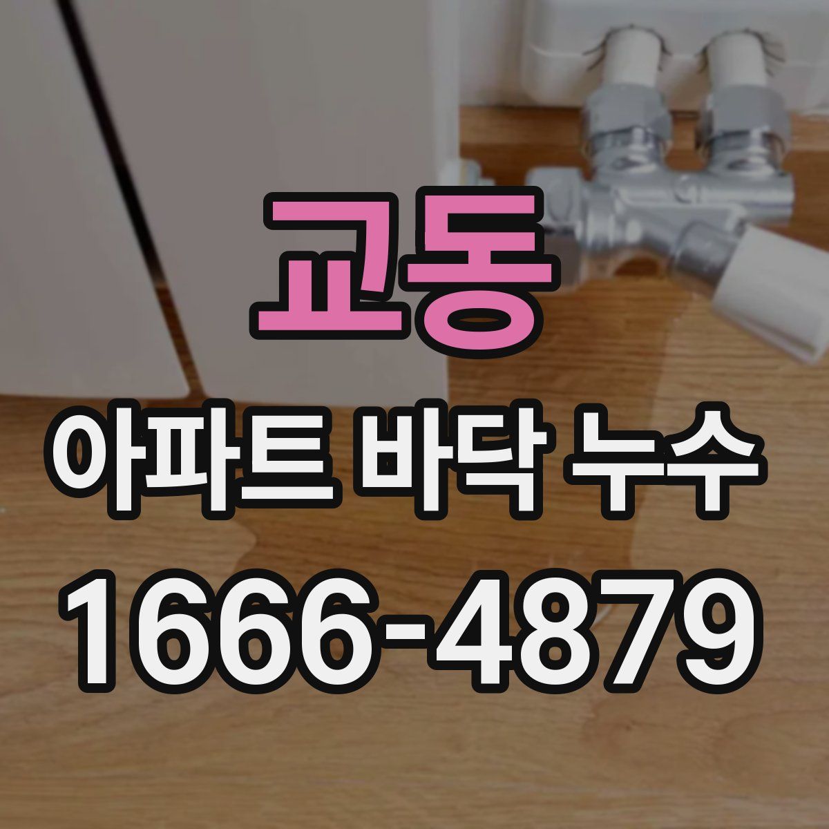 교동 아파트 바닥 누수