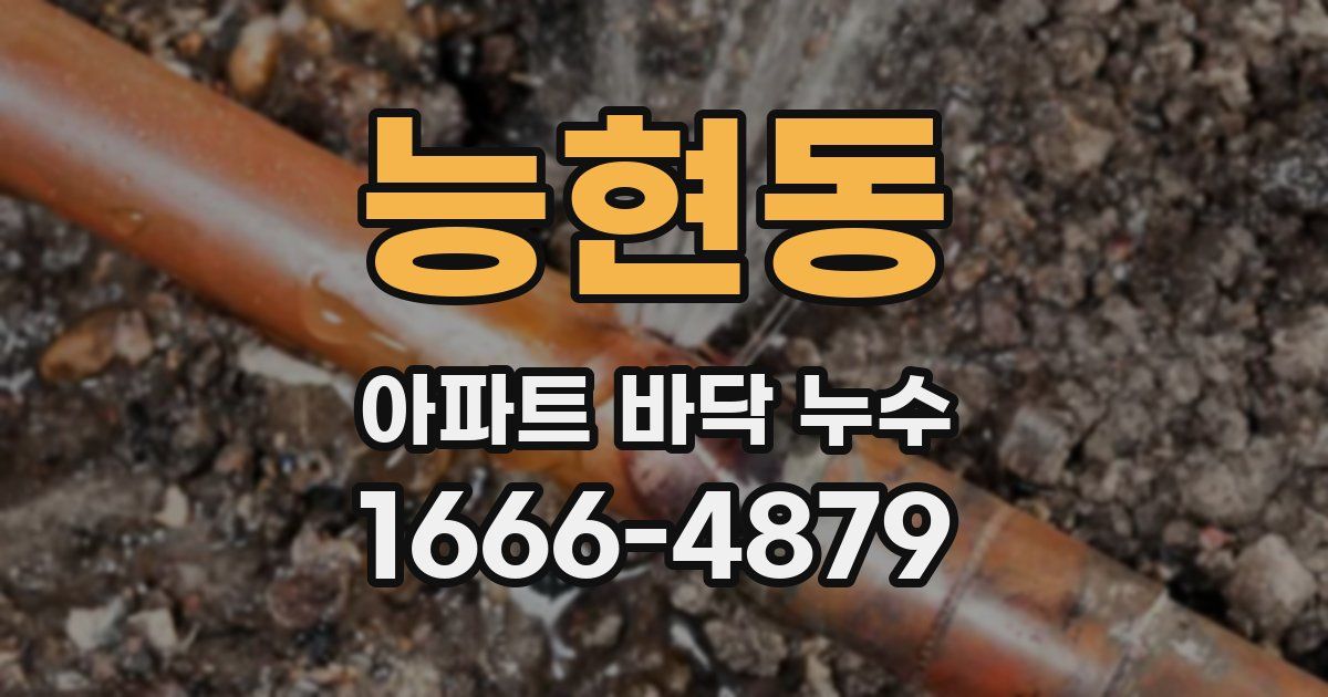 능현동 아파트 바닥 누수