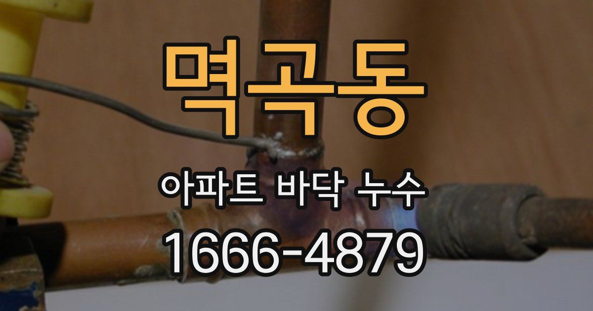 멱곡동 아파트 바닥 누수