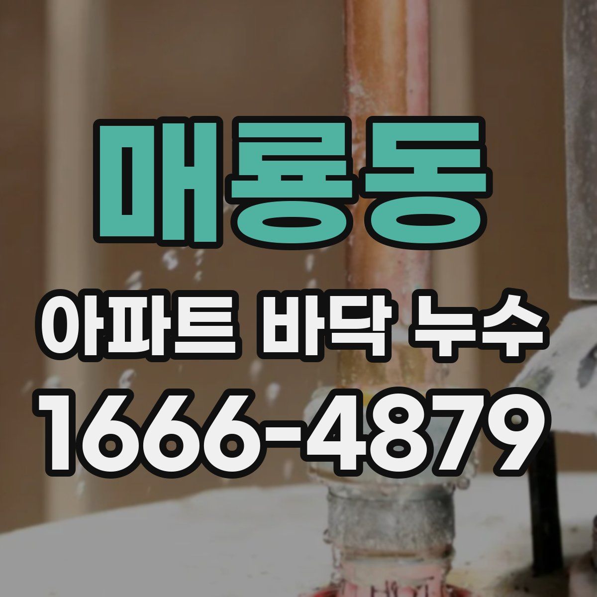 매룡동 아파트 바닥 누수