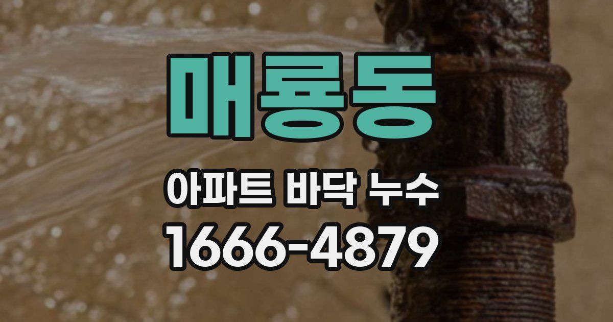 매룡동 아파트 바닥 누수