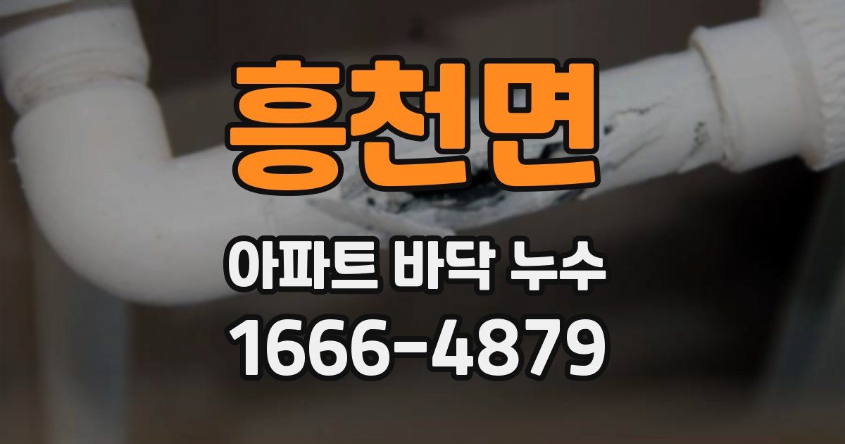 흥천면 아파트 바닥 누수