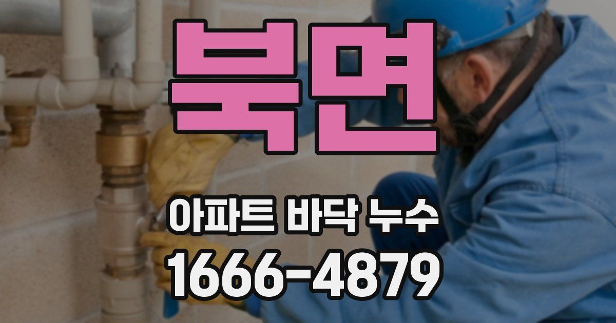 북면 아파트 바닥 누수