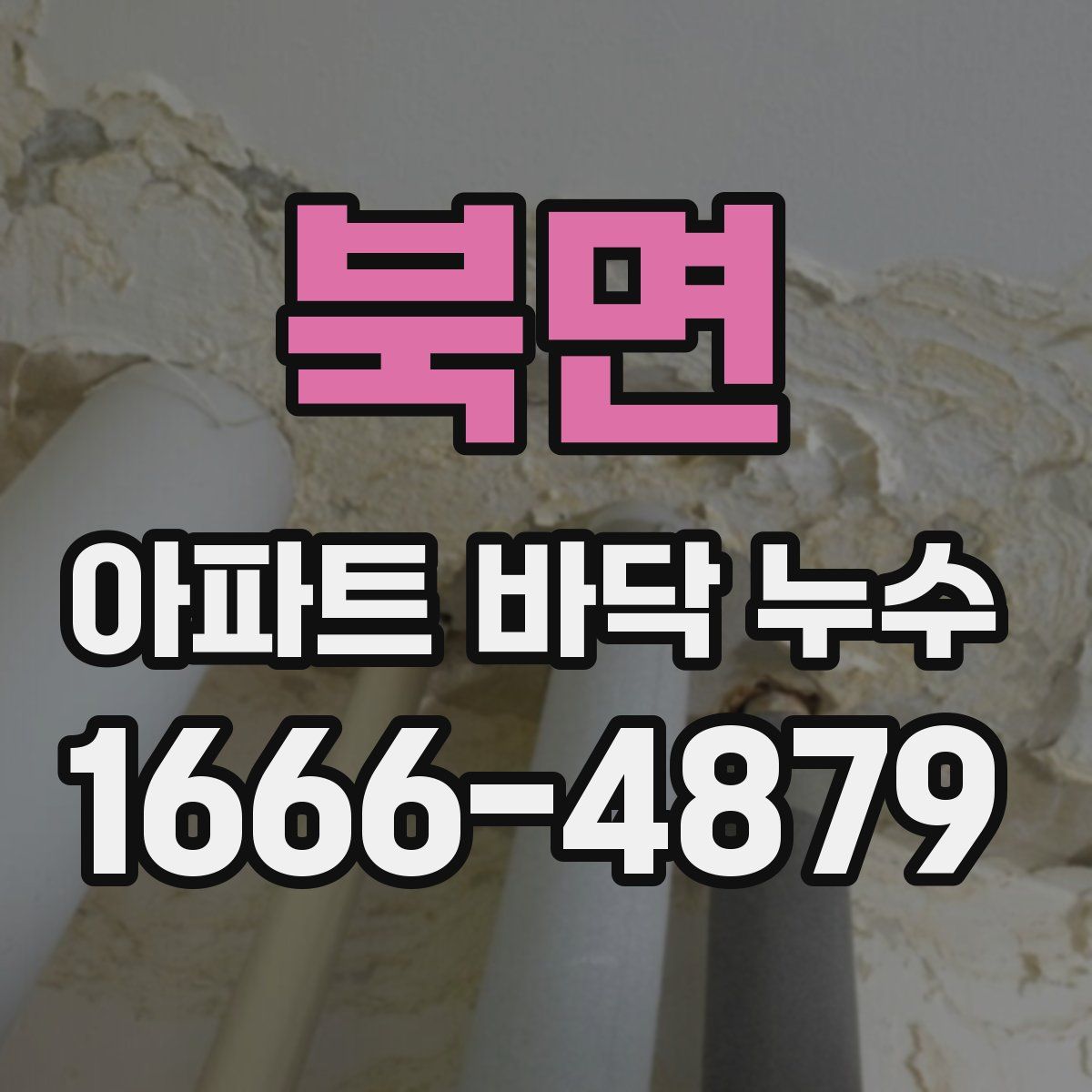북면 아파트 바닥 누수