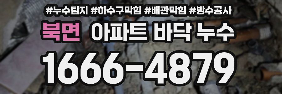 북면 아파트 바닥 누수
