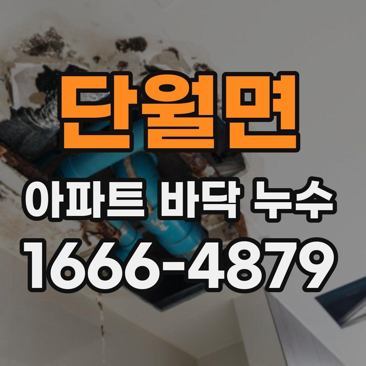 단월면 아파트 바닥 누수