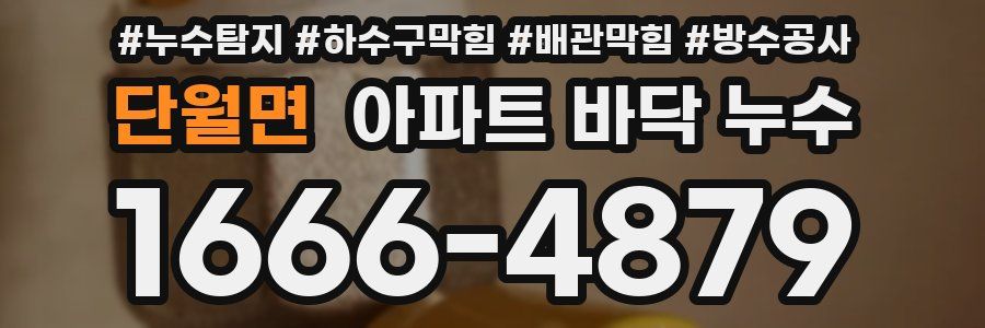 단월면 아파트 바닥 누수