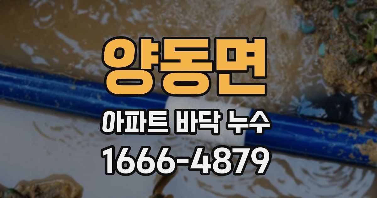양동면 아파트 바닥 누수