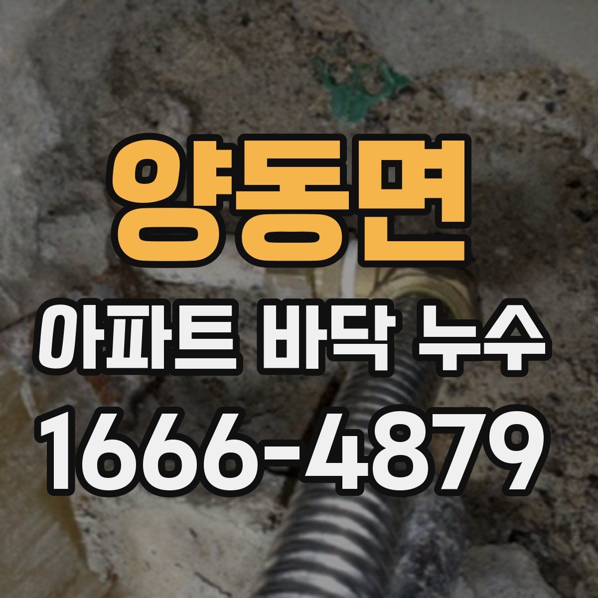 양동면 아파트 바닥 누수