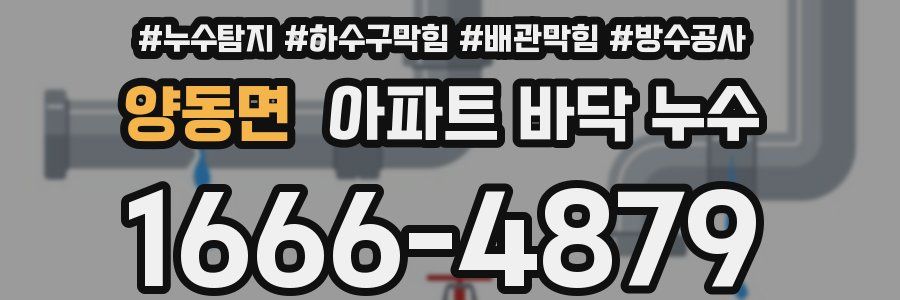양동면 아파트 바닥 누수