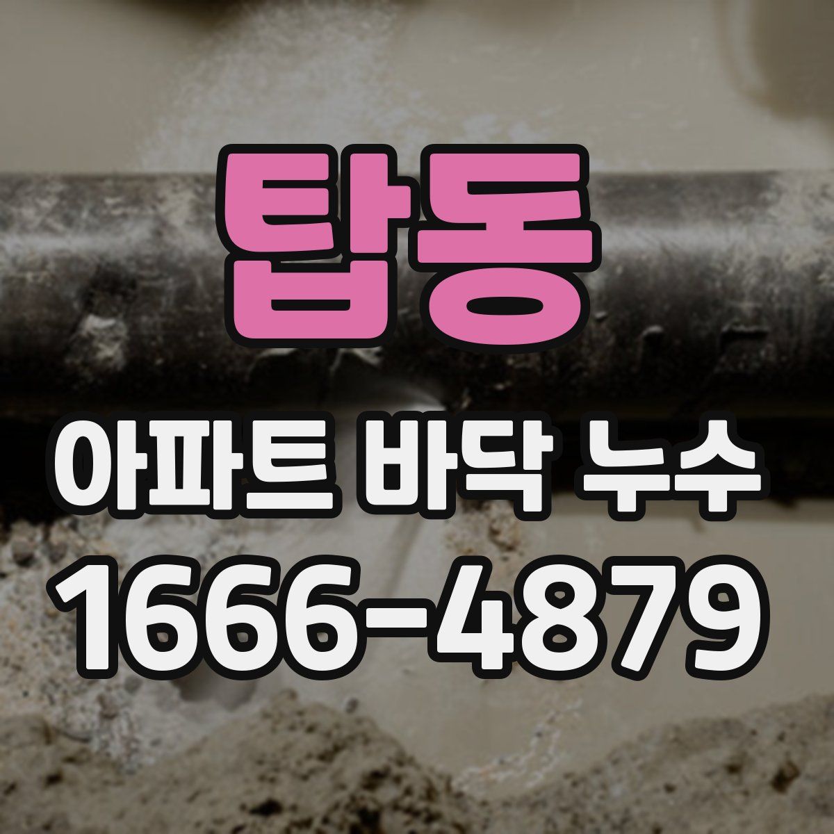 탑동 아파트 바닥 누수