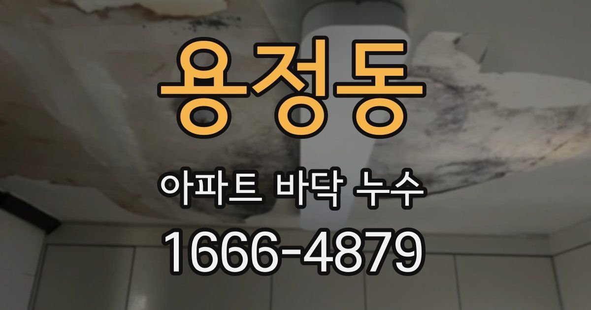 용정동 아파트 바닥 누수