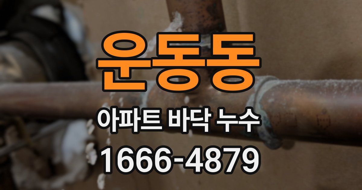 운동동 아파트 바닥 누수