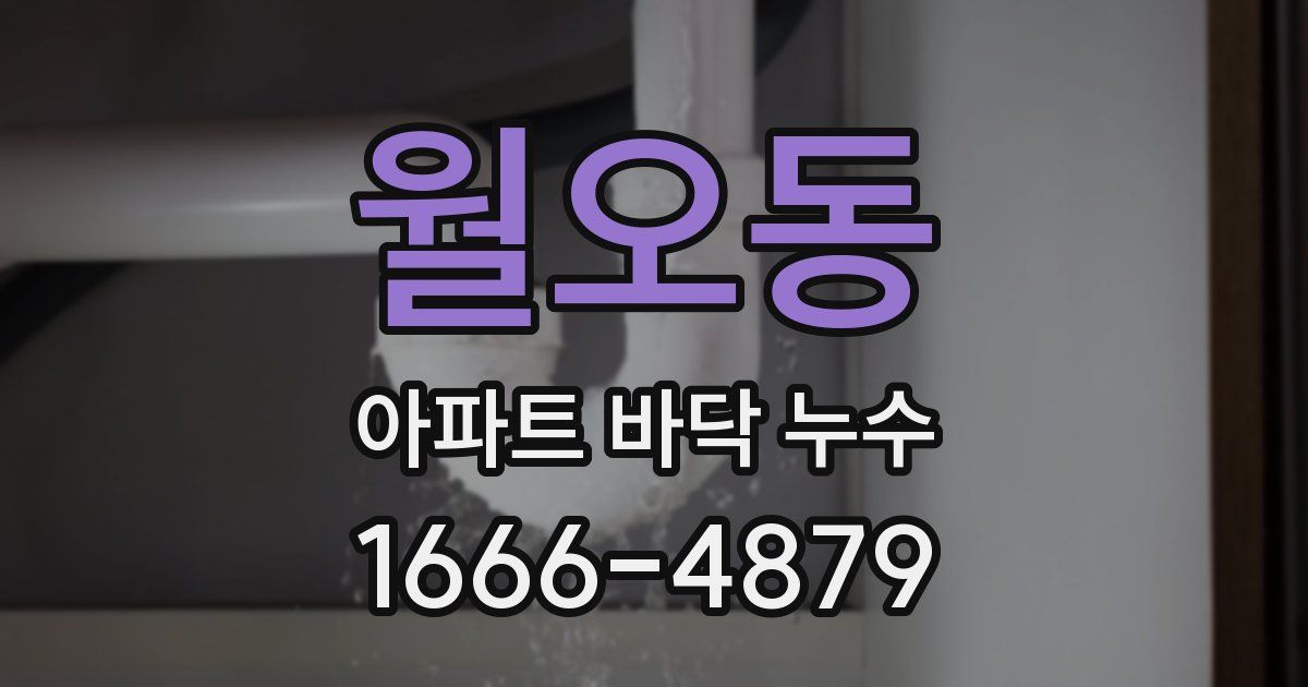 월오동 아파트 바닥 누수